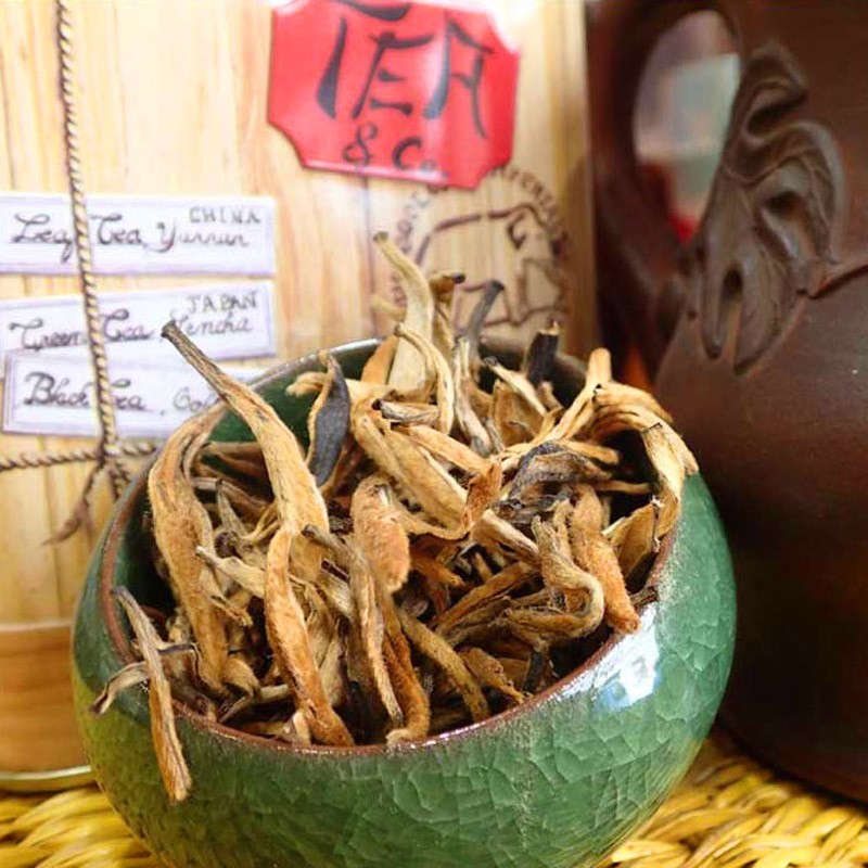 Jinggu Da Jin Ya Camelia Taliensis