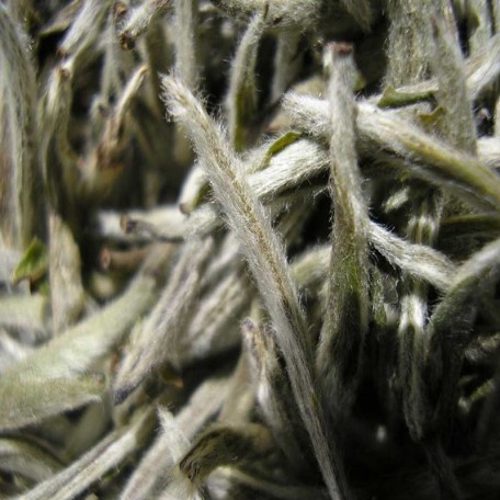 Yin Zhen tè dell'Imperatore