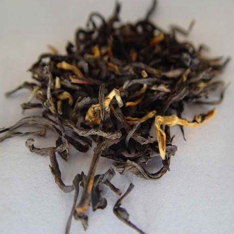 Assam Mokalbari Golden Tips FTGFOP