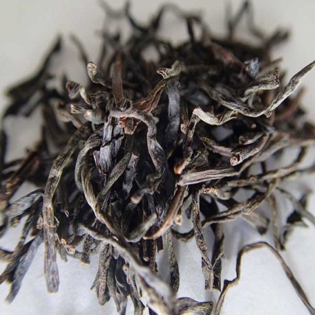 Ceylon Kenilworth OP1