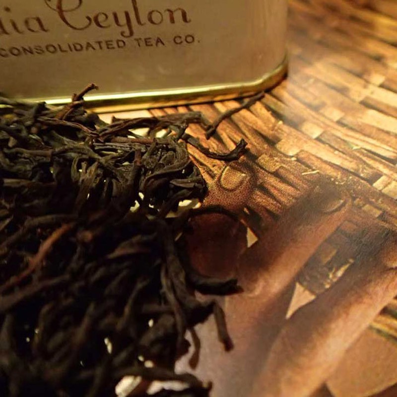 Ceylon Kenilworth OP1