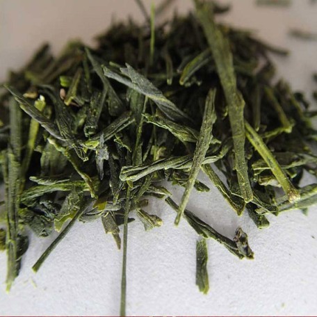 Sencha Fukujyo