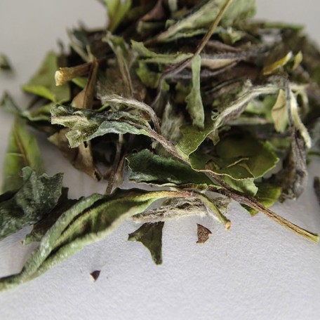 Pai Mu Tan (Bai Mu Dan) Biologico