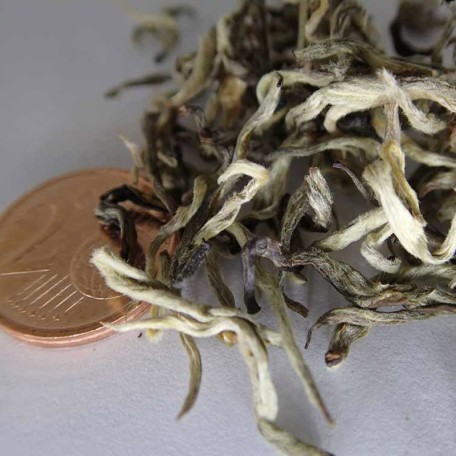 White Butterfly - Bai Hu Die