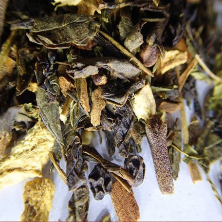 Green Chai, tè verde speziatissimo