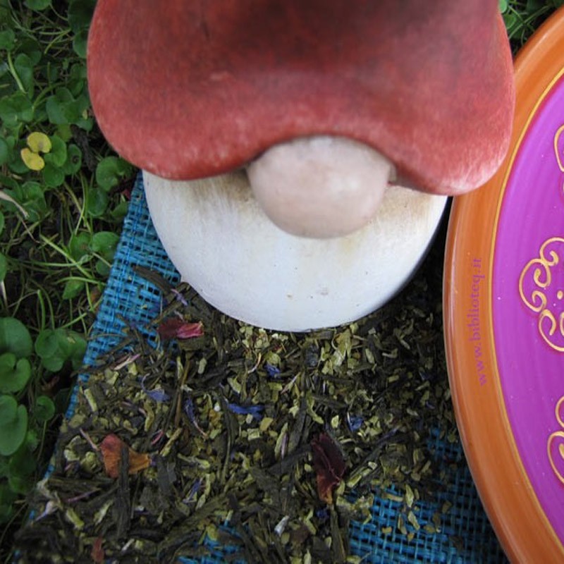 Foresta incantata . Visciola e Mandorla