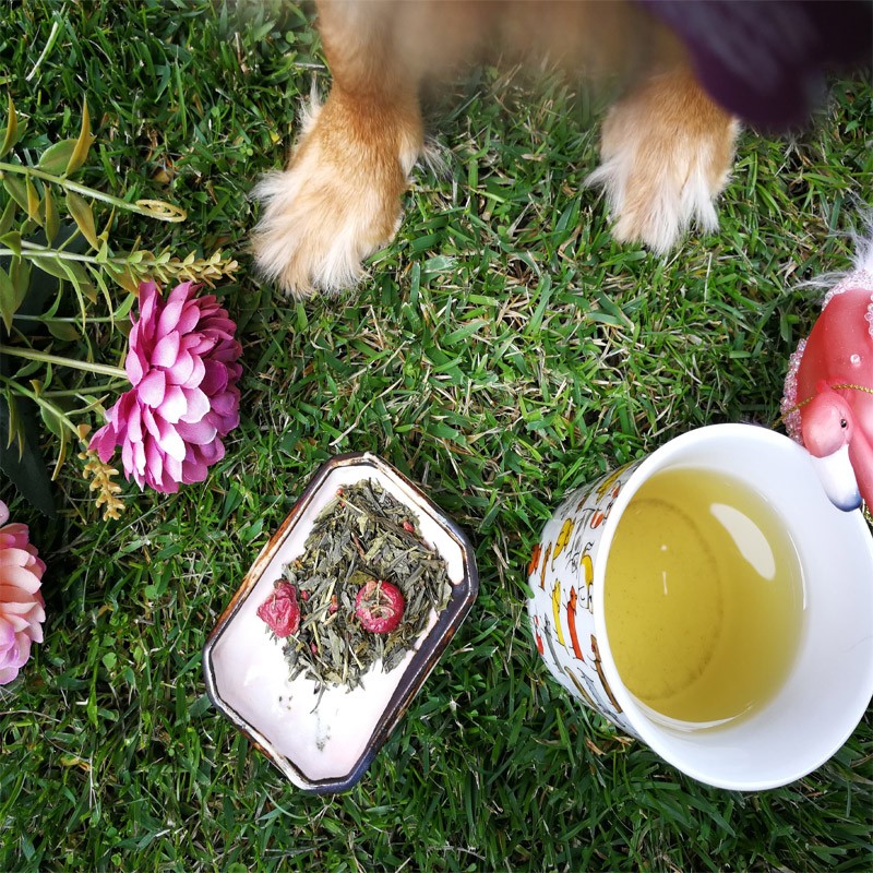 A piedi nudi nel parco - cranberry e rosa