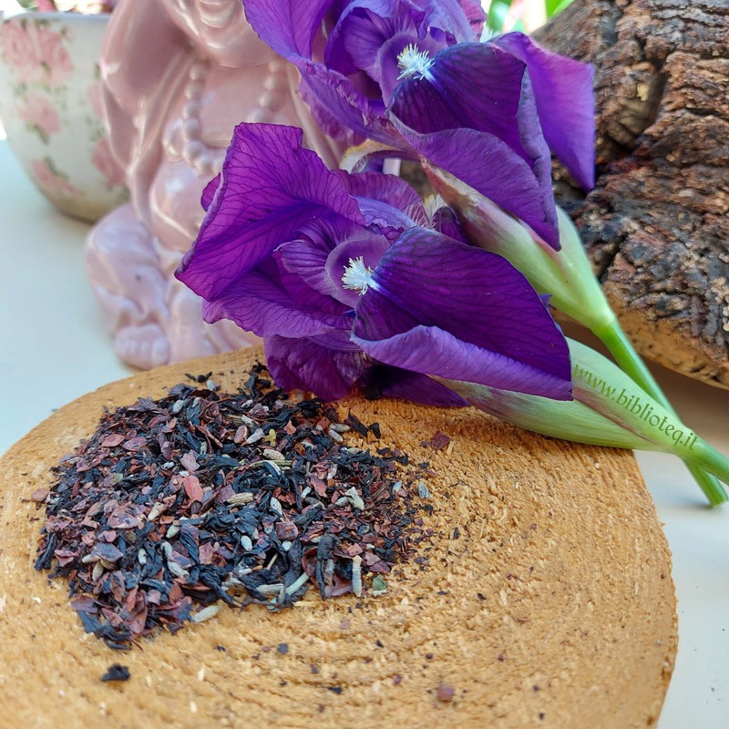 Black Lavanda, lavanda e cacao Bio