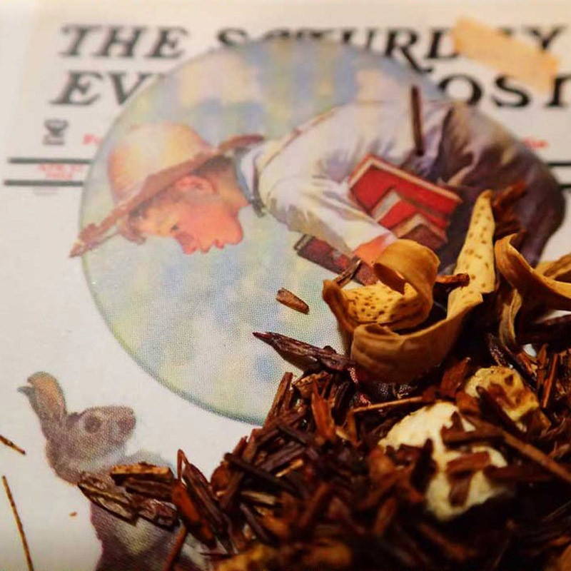 Cioccolato e Arancia bio