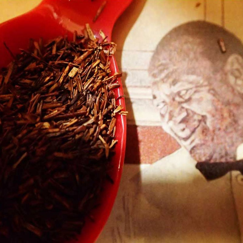 Rooibos Biologico