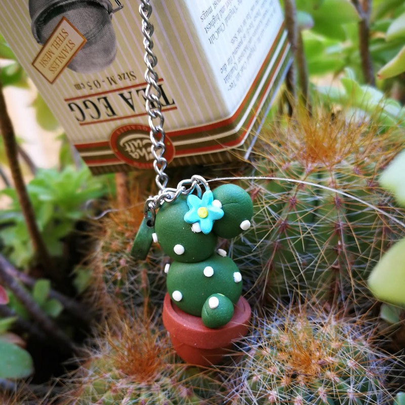 Infusore con decorazione fatta a mano Piantina Grassa Alta