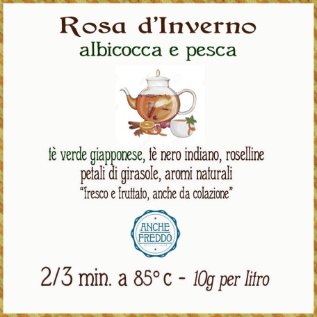 Rosa d'Inverno - albicocca, pesca e rosa