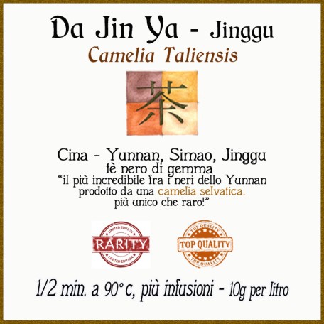 Jinggu Da Jin Ya Camelia Taliensis