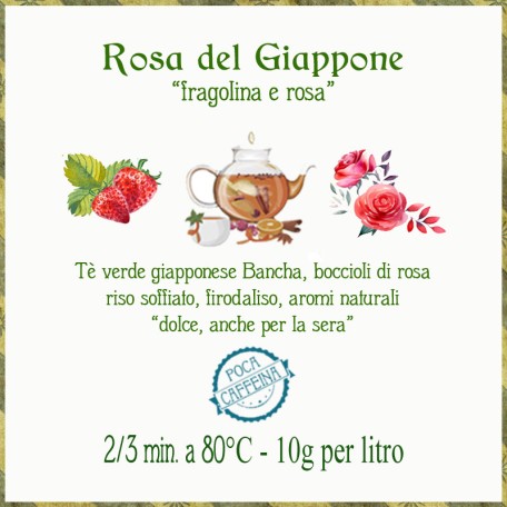 Rosa del Giappone - fragolina e panna