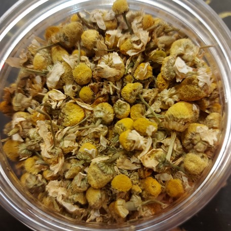 Camomilla in Fiori Biologica