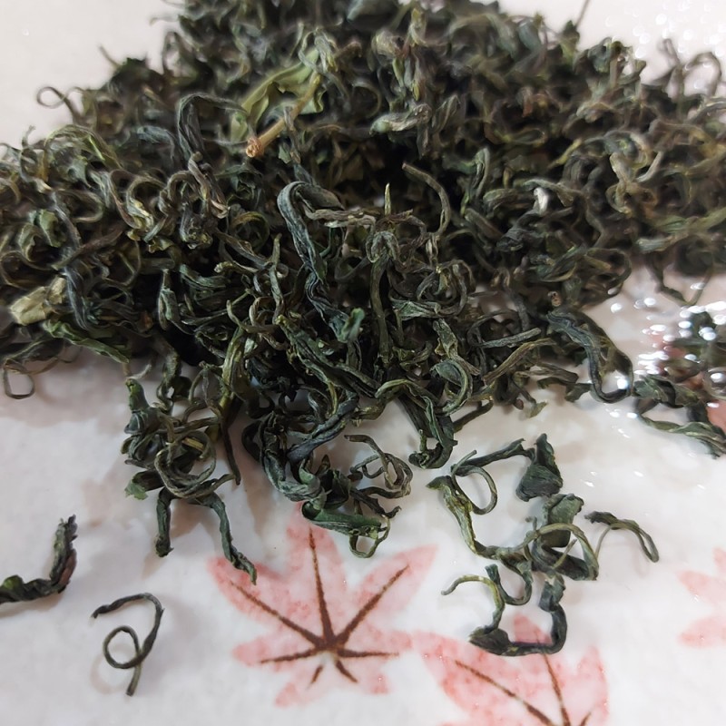 Gui Ding Yun Wu tributo del Re Uccello