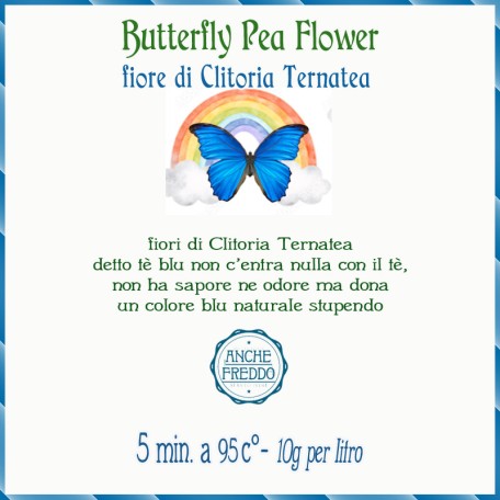 Butterfly Pea o Pisello Blu ossia Clitoria Ternatea 25 grammi
