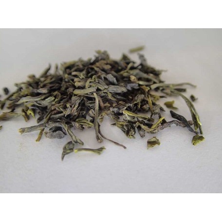 Darjeeling Verde Steinthal SFTGFOP1 Biologico